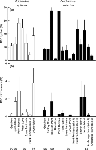 Figure 2 Percentage of root length of Colobanthus quitensis (open bars) and Deschampsia antarctica (closed bars) colonized by (a) DSE hyphae and (b) DSE microsclerotia. Values are means of 4–5 replicates + s.e. Abbreviations at base of Figure indicate the island groups on which the sampling sites are located (SG, South Georgia; SO, South Orkney Islands; SS, South Shetland Islands; Lé, Léonie Islands). Note that y-axes are not identically scaled and that C. quitensis was absent from eight of the sites from which D. antarctica was sampled.