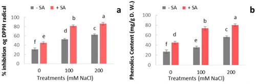 Figure 5. Effect of salinity (0, 100, and 200 mM NaCl) and exogenous application of SA on (a) DPPH scavenging activity and (b) total phenolics content in leaves of safflower plants at 21 days after treatments. The groups are −SA (plants with no SA treatment) and +SA (plants sprayed with 1 mM sodium salicylate three times a week for every other day). Columns indicate mean ± SE based on three replicates. Means with different letters indicate a significant difference at P ≤ .05 using Duncan multiple range test.