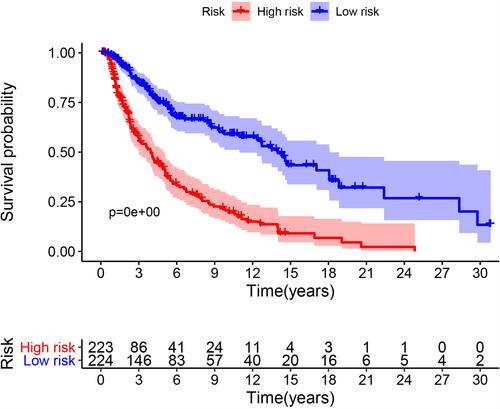 Figure 1 Kaplan-Meier overall survival curves of the risk stratification groups. The tick marks on the curve represent the censored subjects. The number of patients at risk is listed below the curve.