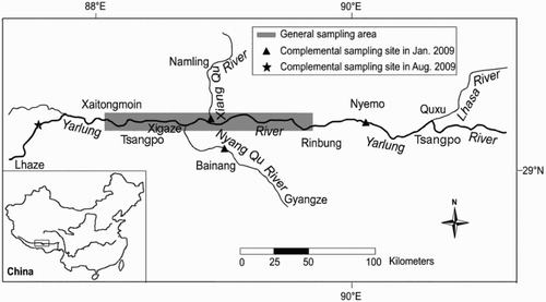 Figure 1. Sampling locations of S. waltoni in the Yarlung Tsangpo River.