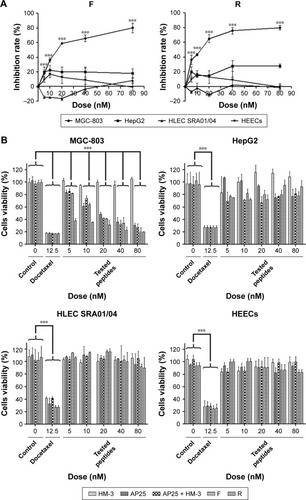 Figure 5 Inhibitory effect of different peptides on the proliferation of gastric cancer cell MGC-803, hepatoma cell HepG2, normal human lens epithelial cell SRA01/04, and normal human esophageal cell.