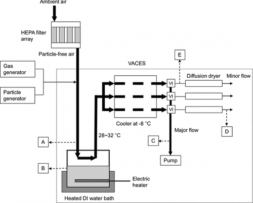 FIG. 1 Schematic diagram of the VACES and an experimental setup. (Location A: sampling location at the inlet of the VACES, location B: sampling location at the water bath, location C: location for major flow measurement, location D: sampling location at the outlet of the VACES after the diffusion dryer, location E: sampling location at the outlet of the VACES before the diffusion dryer) Note: The gas generator is a permeation source for HNO3 experiments and a bubbler with H2O2 solution for hydrogen peroxide experiments to generate H2O2 gas.