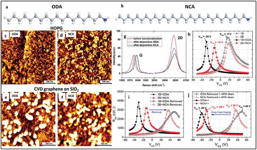 Figure 2. (a) and (b) chemical structure of ODA and NCA molecules, respectively. (c) and (d) show AFM topographical images of ODA and NCA self-assembled on HOPG. (e) and (f) show AFM topographic images of ODA and NCA molecules self-assembled on CVD graphene. The lamellar structure of molecules is clearly observed in these images on both substrates. (g) Typical Raman spectra of CVD grown graphene before and after deposition of ODA and NCA. (h) Transfer characteristics of devices before and after functionalization with ODA and NCA via dip coating. (i) Transfer characteristics of devices doped and after dopant removal. (j) Transfer characteristics after doping by drop casting. Adapted with permission from ref 44. Copyright © 2016 The Royal Society of Chemistry.