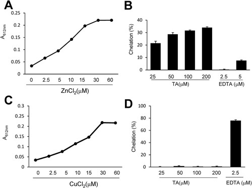 Figure 3 . Measurement of the chelation activity of tannic acid using Zincon. (A, C) Zincon (40 μM) was exposed to Zn2+ or Cu2+ at various concentrations (2.5, 5, 10, 15, 30, or 60). (B, D) TA (25, 50, 100, or 200 μM) or EDTA (2.5 or 5 μM) was incubated with Zn2+ or Cu2+ (30 μM) in the presence of Zincon (40 μM). The absorbance was measured at 620 nm. Results are presented as the mean ± standard error of the mean (SEM) (n = 4). TA, tannic acid.