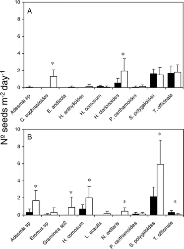 Figure 3 Number of seeds deposited per m2 per day per species in seed traps located in disturbed (black bars) and non-disturbed (white bars) areas of south-facing slope (A) and northwest-facing slope (B) in the surroundings of the La Parva Ski complex in the Andes of central Chile during the 2006 growing season. Means are shown with 2 SE. Bars with asterisks differ significantly (Student t-tests, P < 0.05).