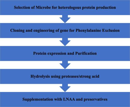 Figure 3 Flow chart of steps involved in formulation of Phe free synthetic protein using molecular biology approach.