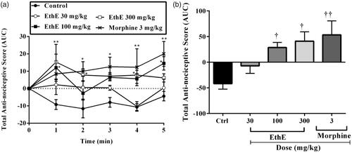 Figure 2. Effect of pretreatment of rats with EthE (30–300 mg/kg, p.o.) and morphine (3 mg/kg, i.p.) on IL-1β-induced hypernociception. Each datum represents the mean of five animals and the error bars indicate SEM. The symbols * and † indicate significance levels compared to respective control groups: (a) represents the time-course curves **p < 0.01, *p < 0.05 (two-way ANOVA followed by Bonferroni’s post hoc test), whereas (b) represents total anti-nociceptive effects (AUC) ††p < 0.01 and †p < 0.05 (one-way ANOVA followed by Newman–Keuls post hoc test).