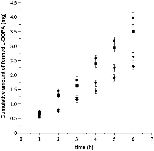 Figure 3. l-DOPA formed in absence (chemical hydrolysis) and in presence (cumulative: chemical plus enzymatic hydrolysis) of mucosal tissue versus time following delivery of LDME solution (50 mg/mL, 37 ± 0.2 °C) at: pH 5.8 chemical (♦); pH 5.8 cumulative (▾); pH 6.2 chemical (▪); and pH 6.2 cumulative (•). Values are presented as mean ± SD (n = 6).