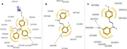 Figure 9 Molecular docking results of chalcone derivatives against human estrogen receptor alpha (HERα). (A) Hydroxyl group of 4-OGT formed hydrogen bonds with GLU353 and Arg394 of HERα, (B) while CL4 was play role as hydrogen bond acceptor against Arg394, and (C) 4-OMe also formed hydrogen bonds with GLU353 and Arg394 of HERα.