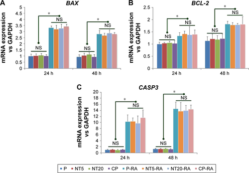 Figure S3 The apoptosis-related genes expression of LS-8 cells on nanostructured Ti surfaces in standard medium and RA medium at 24 and 48 h. (A) BAX, (B) BCL-2, and (C) CASP3. *p<0.01.Abbreviation: NS, no significance.