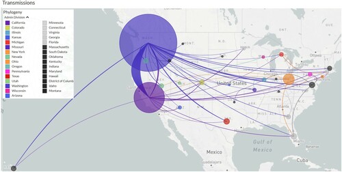 Figure 3. Transmission of the 1026 B.1.1.7-MV70L-S:D178H isolates across the US. The size of the circles are drawn proportional to the number of cases in the specific state. Lines are coloured the same as the exporting states.