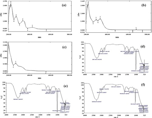 Figure 1. Spectral analysis of B. baluchistanica extracts recorded at different wavelengths by using UV-Vis and FTIR spectroscopy:(a) UV-Vis spectroscopy of B. baluchistanica root extract. (b) UV-Vis spectroscopy of B. baluchistanica stem extract. (c) UV-Vis spectroscopy of B. baluchistanica leaves extract. (d) FTIR spectrum of B. baluchistanica root extract. (e) FTIR spectrum of B. baluchistanica stem extract and (f) FTIR spectrum of B. baluchistanica leaves extract.