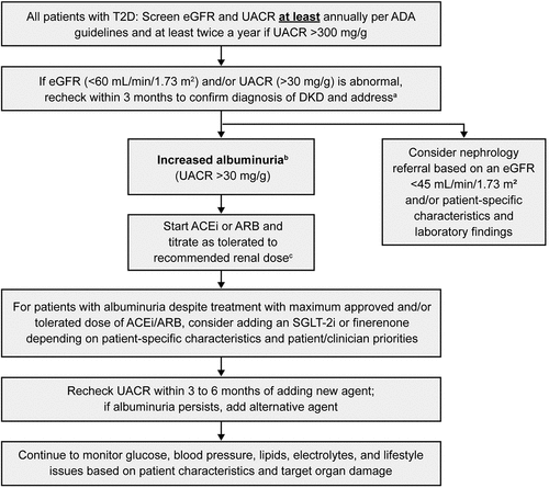 Figure 4. Optimal treatment recommendations for CKD associated with T2D. a Referring clinicians may wish to discuss with their nephrology service depending on local arrangements regarding monitoring or referring. KDIGO guidelines provide direction on when to consider referral to a nephrologist based on eGFR and UACR levels (Figure 5); b For people with normal to mildly increased albuminuria (UACR <30 mg/g and eGFR >60 mL/min/1.73 m2), no immediate treatment to reduce CKD progression is required, but such individuals should be rescreened within a year, and guideline-directed therapy should be optimized to prevent micro and macrovascular complications. Refer to ADA guidelines to improve glycemic control and lipid levels, maintain healthy body weight, and optimize blood pressure; c ACEi or ARB therapy should be maintained even if eGFR is reduced.