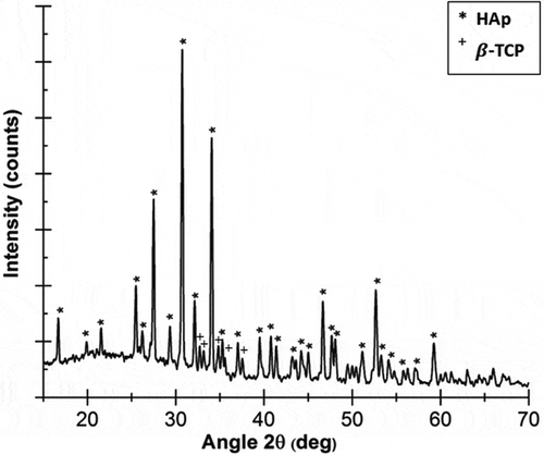 Figure 4. X-ray pattern diffraction of synthesized HAp.