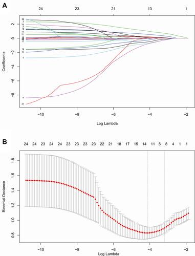 Figure 2 Texture features selection using the LASSO and ten-fold cross-validation. (A) Optimal parameter (λ) selection in LASSO model used ten-fold cross-validation via minimum criteria. Dotted vertical lines were drawn at the optimal values by using the minimum criteria and the 1 SE of the minimum criteria (the 1-SE criteria). A λ of 0.042 with log (λ) = −3.170 was chosen. (B) LASSO coefficient profiles of the 24 radiomics features. A coefficient profile plot was generated versus the selected log(λ) value using ten-fold cross-validation, where optimal λ resulted in 8 features with nonzero coefficients.