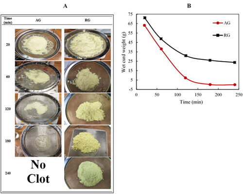 Figure 3. Images (a) and changes in wet weight (b) of curds formed by AG (acid gel) and RG (rennet gel) within the gastric chamber at selected time points. AG: acid gel, RG: rennet gel. [adapted from Qazi et al. (Citation2021)].