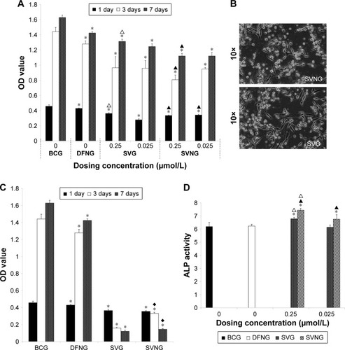 Figure 2 The effects of different concentrations of SVNs and SV on MG63 cells.Notes: When the dosing concentration was 0.25 and 0.025 μmol/L, the effects of SVNs and SV on the cellular proliferation activity (A) and ALP activity were determined (D). When the dosing concentration was 2.5 μmol/L, the effects of SVNs and SV on cell proliferation activity were determined (C), and massive cell death occurred in both the SVNG and the SVG as shown by an inverted microscope on the third day (B). The results are represented as the mean values of three independent measurements (±SD). *P<0.05 vs BCG; ▲P<0.05 SVNG vs SVG (0.25 μmol/L); ∆P<0.05 SVNG vs SVG (0.025 μmol/L); ♦P<0.05 SVNG vs SVG (2.5 μmol/L).Abbreviations: BCG, blank control group; DFNG, drug-free nanomicelles group; SD, standard deviation; SV, simvastatin; SVG, simvastatin group; SVNs, simvastatin-loaded nanomicelles; SVNG, simvastatin-loaded nanomicelles group.