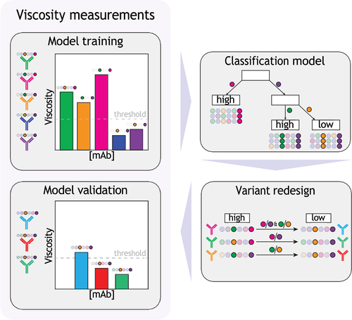 Figure 1. Overview of approach for training and testing a decision tree model for predicting the level of antibody viscosity for IgG1s and identifying mutations that reduce viscosity.