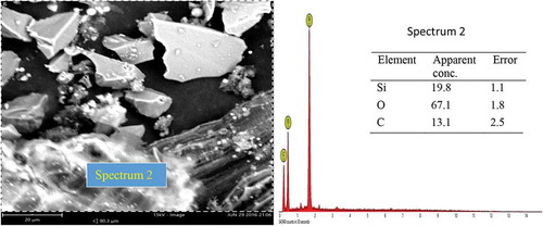 Figure 8. Representative SEM micrograph of sample B1 with EDX analysis.