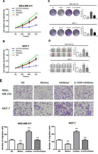 Figure 4 Continued.