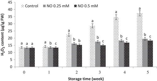 Figure 3. Effect of NO treatment on hydrogen peroxide (H2O2) content of ‘rish baba’ grape fruit during cold storage. values in each column followed by a different letter are significant at p ≤ 0.05 according to duncan’s multiple range test.