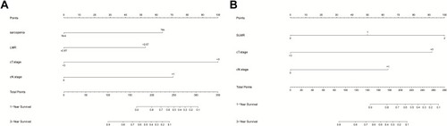 Figure 4 Nomogram for predicting the 1- and 3-year overall survival of esophageal cancer patients. (A) non-SLMR-based nomogram of overall survival. (B) SLMR-based nomogram of overall survival.