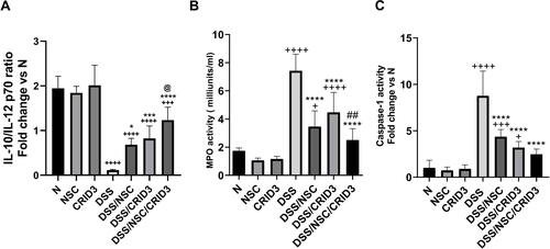 Figure 9 Effect on IL-10/IL-12 ratio, MPO, and caspase-1 activity. Effect of NSC, CRID3 and NSC/CRID3 on (A), IL-10/1L-12 p70; (B), myeloperoxidase (MPO) activity and (C), caspase-1 activity. +P < 0.05 vs N, +++P < 0.001 vs N, ++++P < 0.0001 vs N, *P < 0.05 vs DSS, ***P < 0.001 vs DSS, ****P < 0.0001 vs DSS, @P < 0.05 vs DSS/NSC, ##P < 0.01 vs DSS/CRID3.