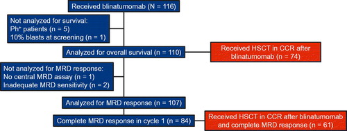 Figure 1. Patient disposition, use of HSCT and complete MRD responses after blinatumomab. CCR, continuous complete remission; HSCT, hematopoietic stem cell transplantation; MRD, minimal residual disease; Ph+, Philadelphia chromosome–positive.