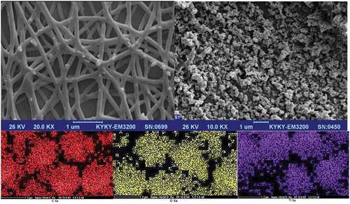 Figure 1. SEM images of Ti-MOF (a) and Ti-MOFNFs coatings used in dental nanocoatings (B) with elemental analysis of EDS.