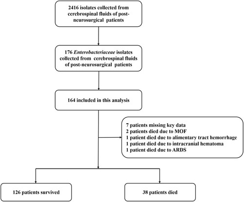 Figure 3 Flowchart of the included patients with post-neurosurgical Enterobacteriaceae meningitis/encephalitis.Abbreviations: MOF, multiple organ failure; ARDS, acute respiratory distress syndrome.