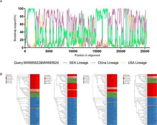 Figure 4. Recombinant features of human PDCoVs. (A) Structure of the PDCoV genome and bootscanning recombination analysis based on genomic sites. Colored broken lines represent different lineages: green indicates the SEA lineage, purple indicates the China lineage, and yellow indicates the USA lineage. (B) ML phylogenetic trees were inferred for the different recombinant regions: nucleotides 1–2320, 2320–14780, 14780–17280, and 17280 to the end. The SEA lineage is indicated in green, the China lineage in red, the USA lineage in blue, and the early China lineage in pink. Orange indicates three human PDCoV strains.