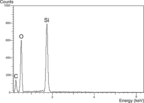 Figure 1. Spectrum of the energy-dispersive X-ray spectroscopy (EDS) detecting silica in the megaspore surface of Isoëtes todaroana. A similar pattern was observed in the outer megaspores of all the species examined here.