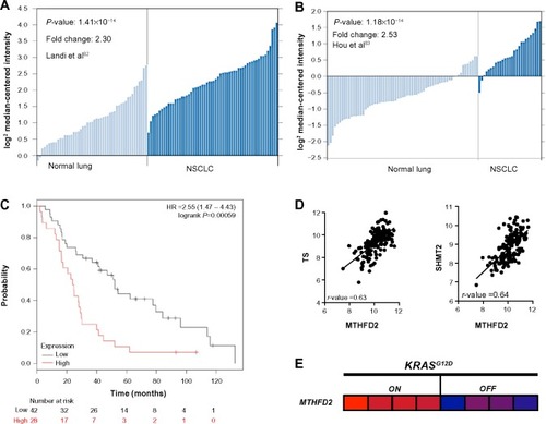 Figure 9 Screen results for MTHFD2 in NSCLC patients.