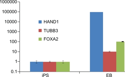 Figure 5 Quantitative reverse transcription-polymerase chain reaction analysis of differentiation markers in induced pluripotent stem cells and embryoid bodies.