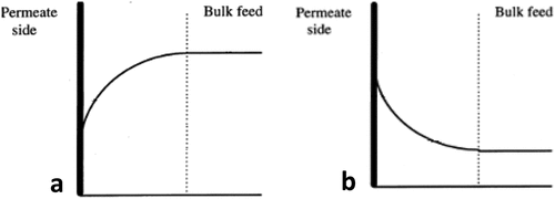 Figure 5. Permeation effect for the (a) more permeable gas and (b) less permeable gas at the membrane surface.