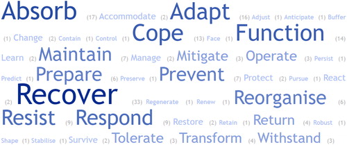 Figure 4. TagCloud highlighting resilience aspects used in definitions (Numbers next to aspects represent the number of times each aspect was cited across the 56 definitions used in database).