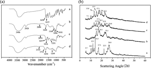 Figure 2. (a) FT-IR and (b) X-ray diffraction spectra of (a) quercetin, (b) amylose, (c) amylose/quercetin physical mixtures and (d) amylose/quercetin complexes (5% w/w)