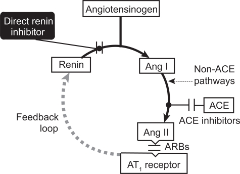 Figure 1 The renin-angiotensin-aldosterone system and points of pharmacological intervention.