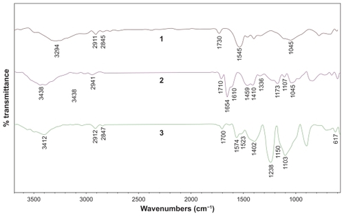 Figure 2 Fourier transform spectra (after baseline correction) of functionalized carbon nanotubes. 1. carboxylated multiwalled carbon nanotubes, 2. multiwalled amide nanotubes, and 3. multiwalled benzimidazole nanotubes.
