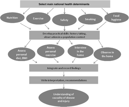 Curriculum map 1. Lifestyle curriculum: steps in acquiring population health knowledge & skills.