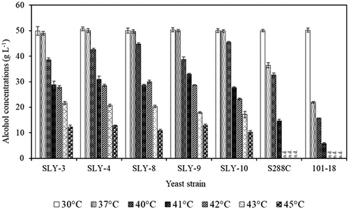 Figure 2. Comparison of alcohol production (over 72 h) by five strains of S. cerevisiae cultured on 100 ml batch-fermented media (YPD containing 100 g L−1glucose) at different incubation temperatures under static conditions. Note: Laboratory yeast (S288C) and Awamori yeast (101-18) strains were used as reference strains. The alcohol production of the two reference strains was not detected (n.d.) at temperatures; 42, 43 and 45 °C.