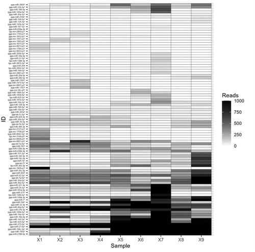 Figure 3. Heatmap showing hierarchical clustering of miRNAs differentially expressed in caecal contents collected from chickens that were uninfected (control, X1-3), E. tenella-infected with no pathology (lesion score 0, X4-6) or E. tenella-infected with high pathology (lesion score 4, X7-9).