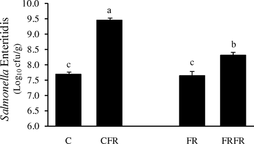 Figure 1.  Effect of 24-h feed withdrawal on in vitro S. Enteritidis attachment to ileal tissue of 42-day-old chickens. C, ad libitum feeding; CFR, ad libitum feeding with 24-h feed withdrawal on day 42; FR, 60% feed restriction on days 4, 5 and 6; FRFR, 60% feed restriction on days 4, 5 and 6 with 24-h feed withdrawal on day 42. a, b, cMean±standard error of the mean with no common letters differ at P<0.05. n=12.