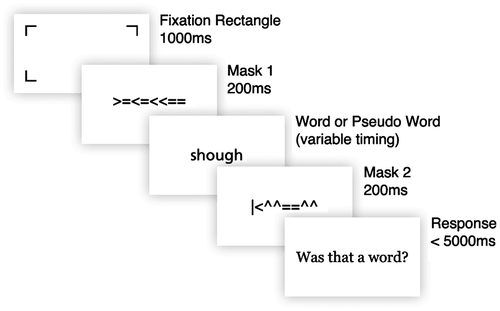 Figure 1. The structure of an individual trial of the experiment. See Methods for details.