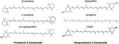 Figure 1. The six main carotenoids and their structures.