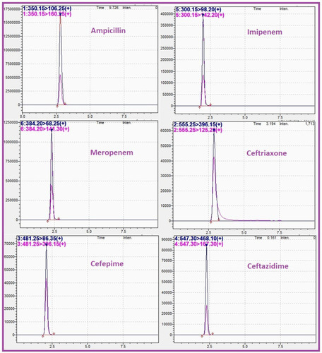 Figure 1 MRM chromatograms of mixture of ampicillin (5 µg/mL), imipenem (0.5 µg/mL), meropenem (0.5 µg/mL), ceftriaxone (0.5 µg/mL), cefepime (0.5 µg/mL), and ceftazidime (0.5 µg/mL) dissolved in phosphate buffer.