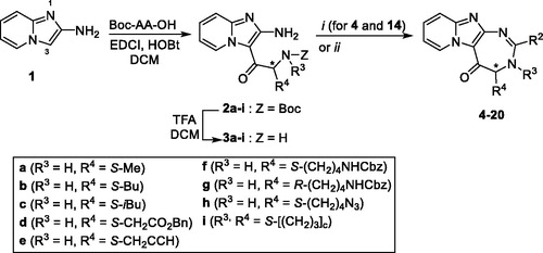 Scheme 1. Synthesis of pyrido-imidazodiazepinones 4–20. Conditions and reagents: Boc-AA-OH: Boc-Ala-OH, Boc-Nle-OH, Boc-Leu-OH, Boc-Asp(Bn)-OH, Boc-Pra-OH, Boc-Lys(Cbz)-OH, R-Boc-Lys(Cbz)-OH, Boc-azidonorleucine 29 or Boc-Pro-OH; i: 1. NH4OH, H2O; 2. R2CHO, CHCl3, 60 °C; 3. DDQ, rt; ii: R2CHO, K2CO3, I2, THF, 65 °C. For compounds 4–20, R2, R3 and R4 substituents are referenced in Table 1.