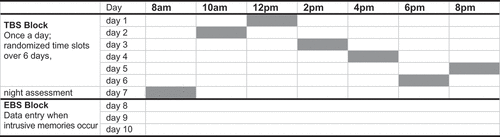 Figure 1. Example for a predefined assessment scheme. The assessments started with either the TBS or EBS block (randomized order). Within the TBS block the sequence of daytime assessments (at 10am, 12pm, 2pm, 4pm, 6pm, 8pm) was randomized.