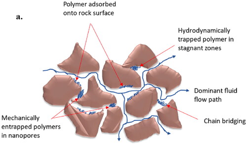 Figure 5. Retention mechanisms in porous media.[Citation35]