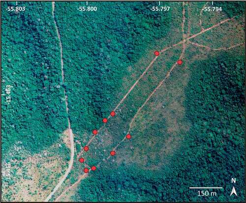 Figure 2. Study area located in the Cerrado of the municipality of Chapada dos Guimarães, MT, with the positions of the 24 individuals of Annona crassiflora analysed in this research (red circles). Source: Google Earth.